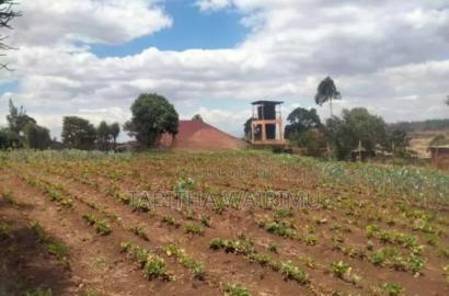 Prime 1/4 Plot for Sale in Kibiko
