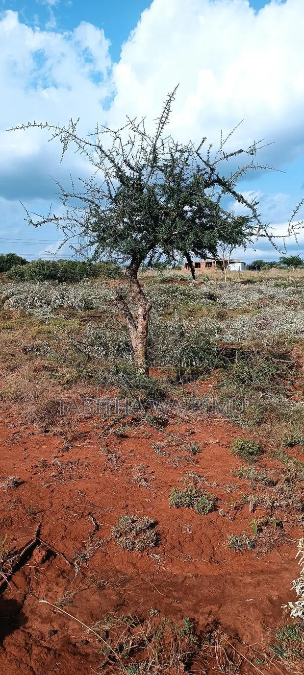 Prime Plots Along Kimuka Suswa Tarmac