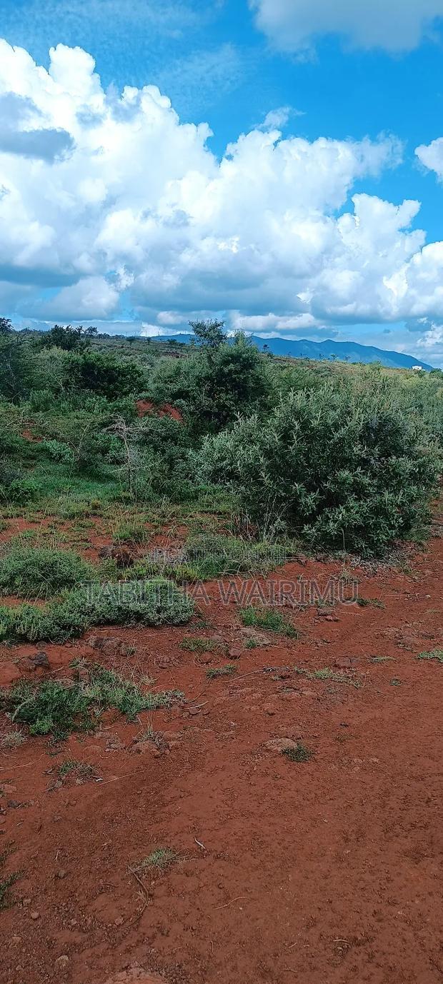Plots for Sale 100 Metres Off Tarmac
