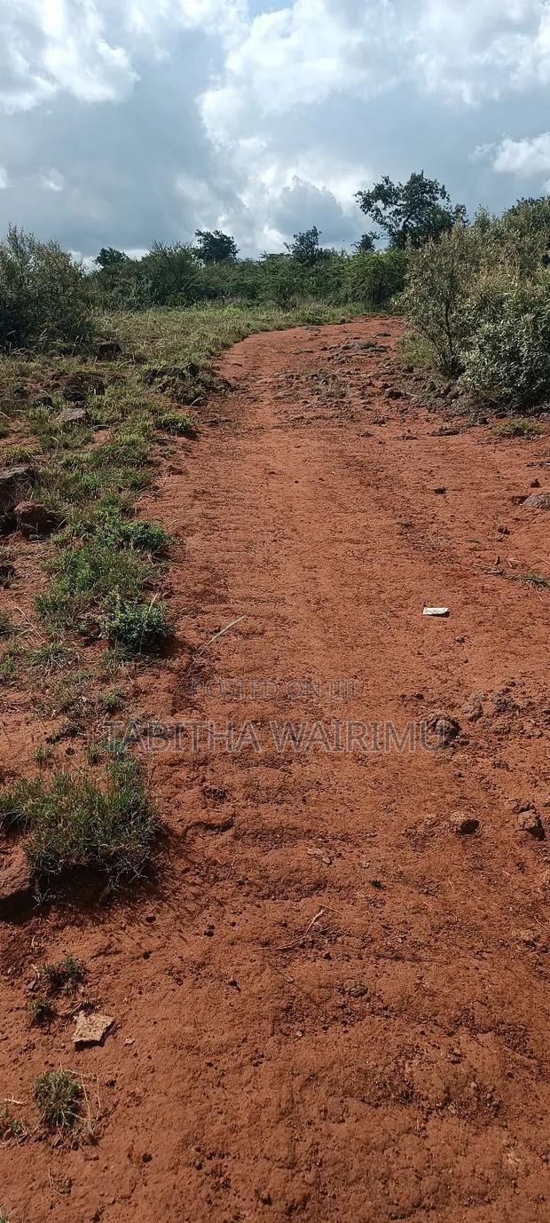 Plots for Sale 100 Metres Off Tarmac