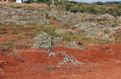 Prime Plots Along Kimuka Suswa Tarmac
