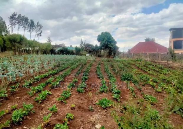 Prime 1/4 Plot for Sale in Kibiko