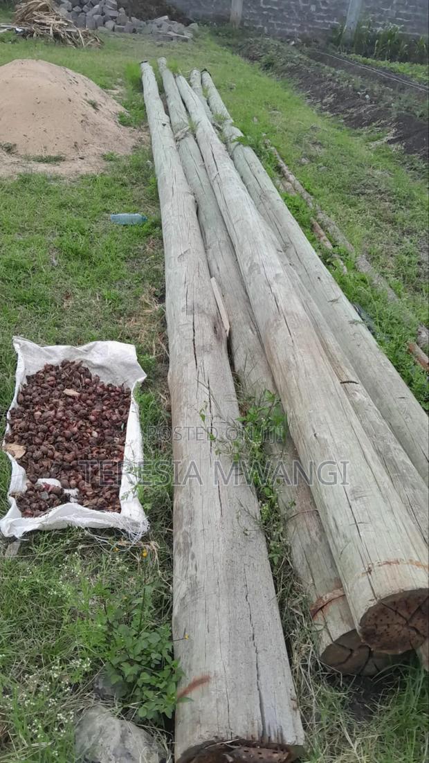 50*100 Lenchani Plot for Sale