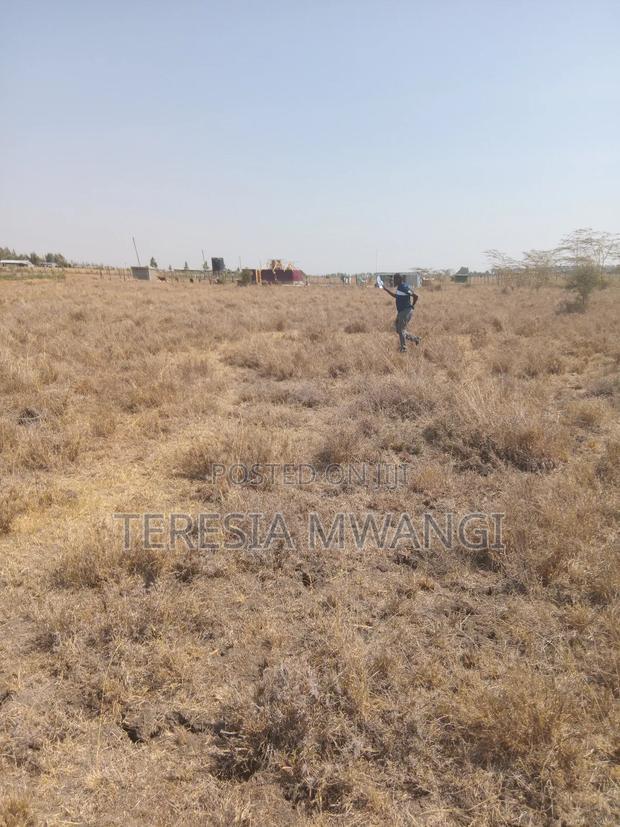 50*100kag Plots