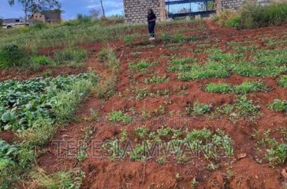 Affordable Plot for Sale in Ruiru