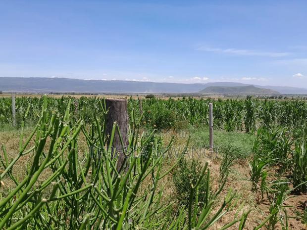 Affordable Plot for Sale in Maai Mahiu