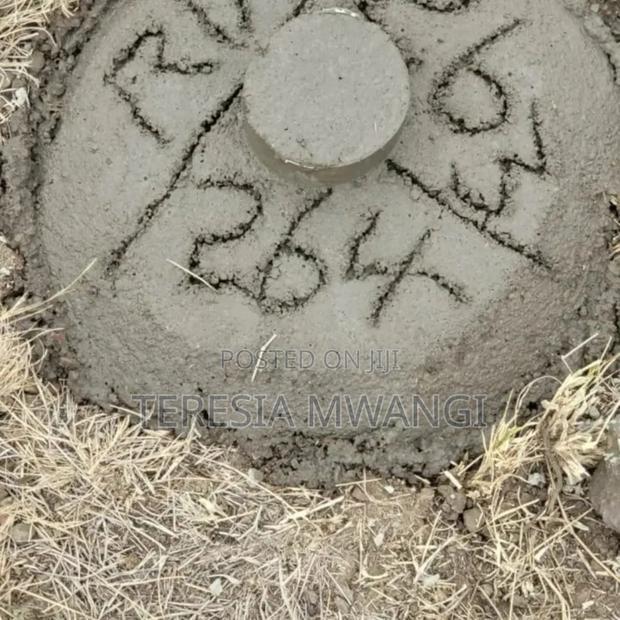 Isinya Highway Plot