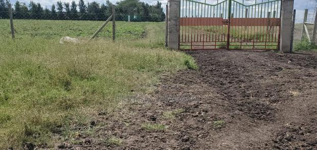 50*100 Lenchani Plot for Sale