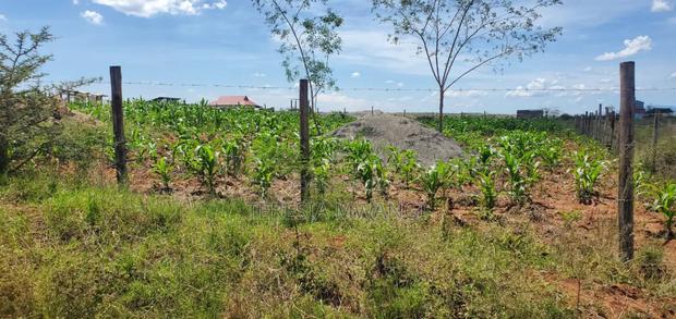 Olkalao Plot for Sale