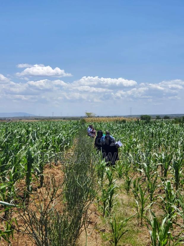 Affordable Plot for Sale in Maai Mahiu