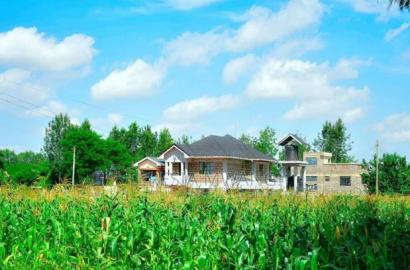 Affordable Plot for Sale in Juja
