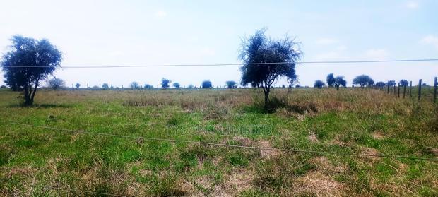 Vacant 1/8 Acre Plots For Sale In Isinya