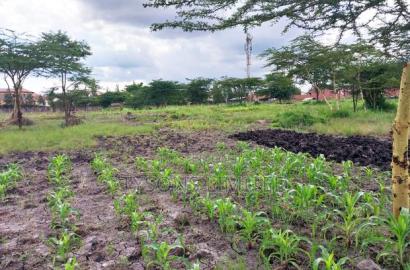 Commercial Land for Sale in South B