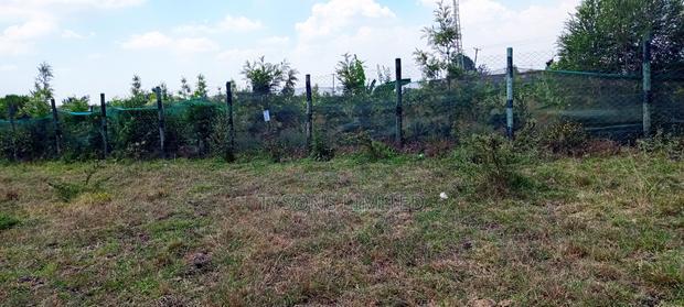 1/8 Acre Plots for Sale in Tuala, Kedienye Area