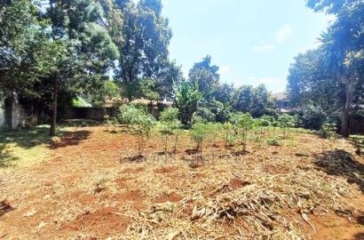 Vacant Plot for Sale in Lavington