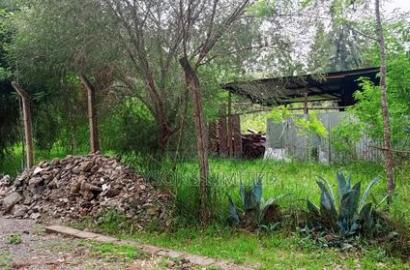 Residential Land in Thome