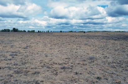 Quarter Acre Plots for Sale in Oloika,Kitengela
