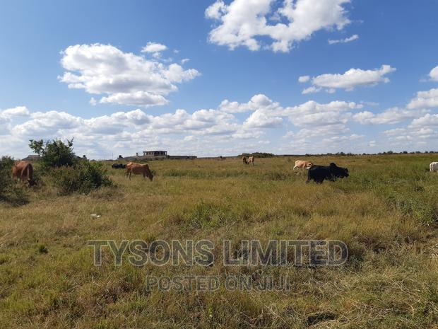 50/100 Plots for Sale in Juja