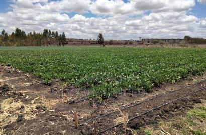 20- Acre Farm for Sale in Kisaju