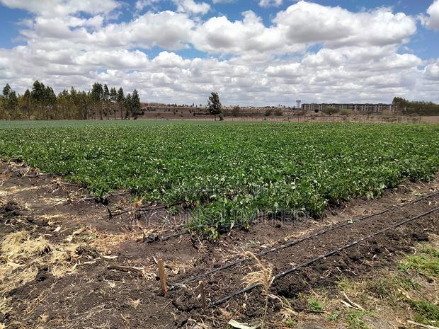 20- Acre Farm for Sale in Kisaju