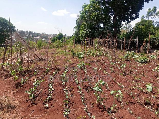 Vacant 0.5 Acre Plot for Sale in Thome