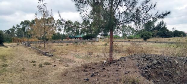 Commercial Plots for Sale in Tuala