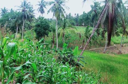 Land for Sale in Kilifi - Bomani