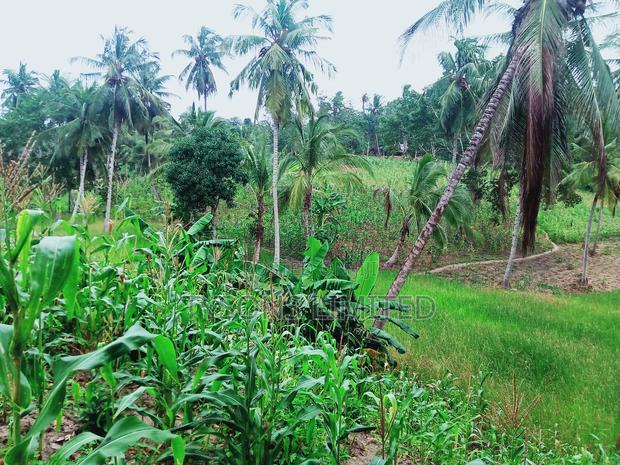 Land for Sale in Kilifi - Bomani