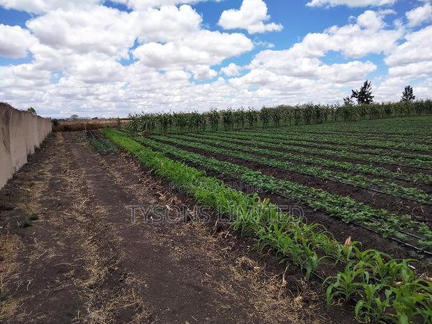20- Acre Farm for Sale in Kisaju