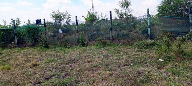 1/8 Acre Plots for Sale in Tuala, Kedienye Area