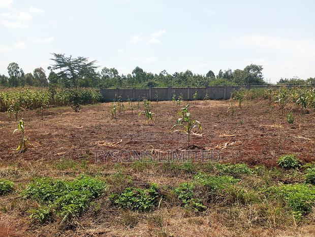 Plot for Sale at Muhasibu Estate
