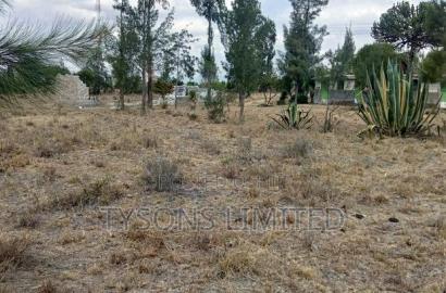 Commercial Land for Sale at Kantafu