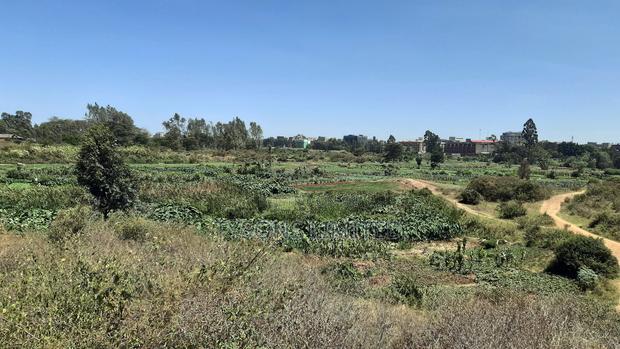 Commercial Land for Sale in Kasarani at Clay City