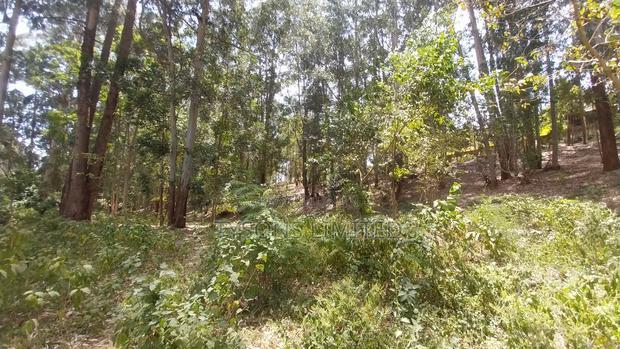 Land for Sale at Redhill Estate