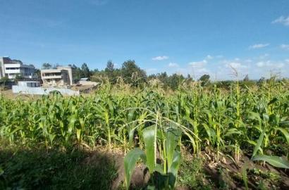 One Acre Land for Sale in Matasia