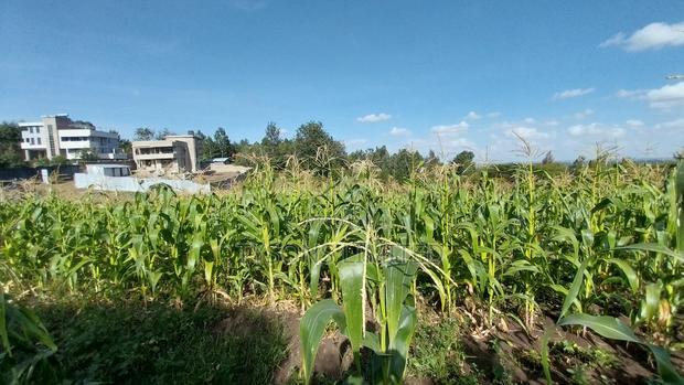 One Acre Land for Sale in Matasia
