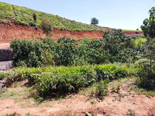 Prime Land for Sale in Tigoni