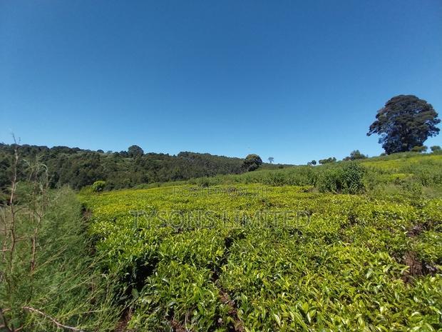 Prime Land for Sale in Tigoni