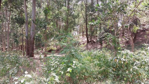 Land for Sale at Redhill Estate