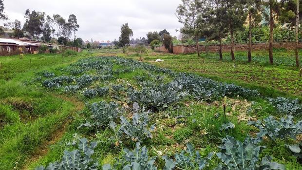 Vacant Land for Sale in Loresho