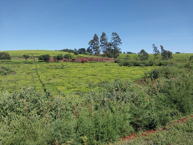 Prime Land for Sale in Tigoni
