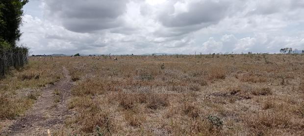 Vacant Plot for Sale at Malaa