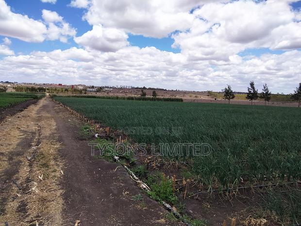 20- Acre Farm for Sale in Kisaju