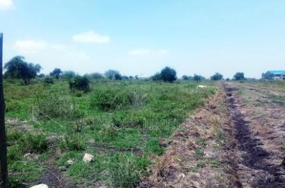 Vacant 1/8 Acre Plots For Sale In Isinya