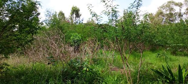 Residential Land in Thome