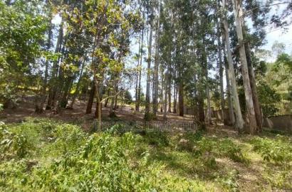 Land for Sale at Redhill Estate