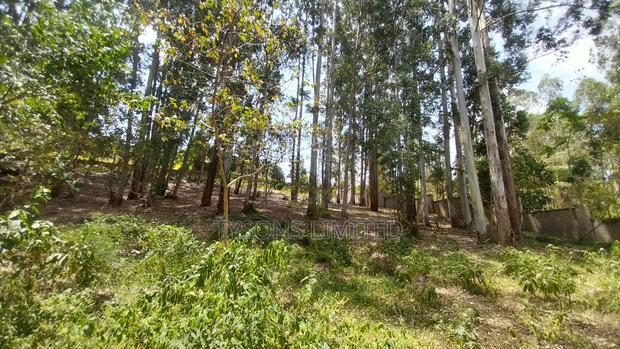Land for Sale at Redhill Estate