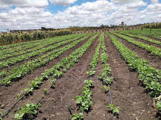 20- Acre Farm for Sale in Kisaju