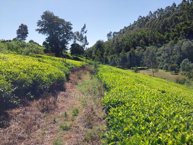 Prime Land for Sale in Tigoni