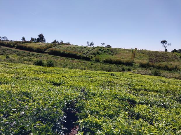 Prime Land for Sale in Tigoni